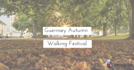 autumn-walk-blog-2